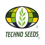 TECHNO SEEDS